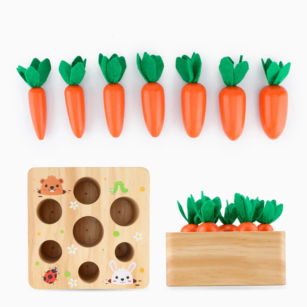 Montessori Wooden Carrot Shape Matching Educational Toy Set